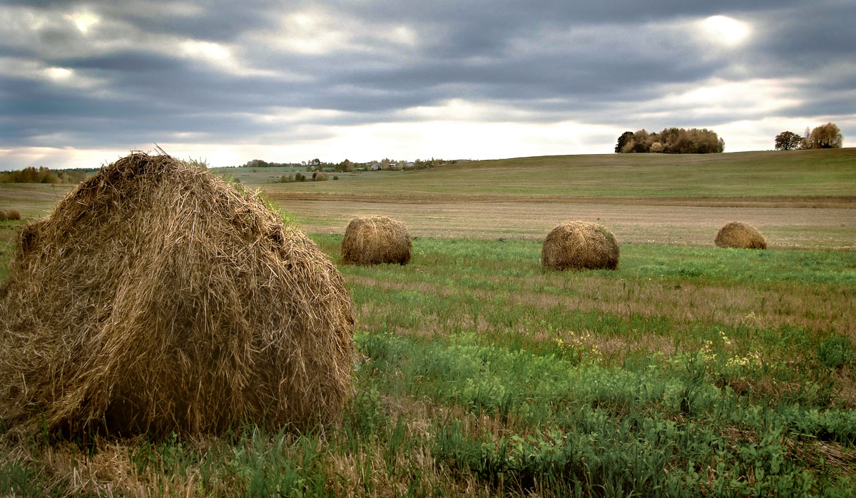 und doch katushechki