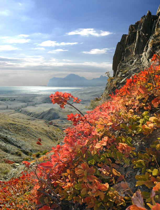 Autumn Kleider Rauch Baum