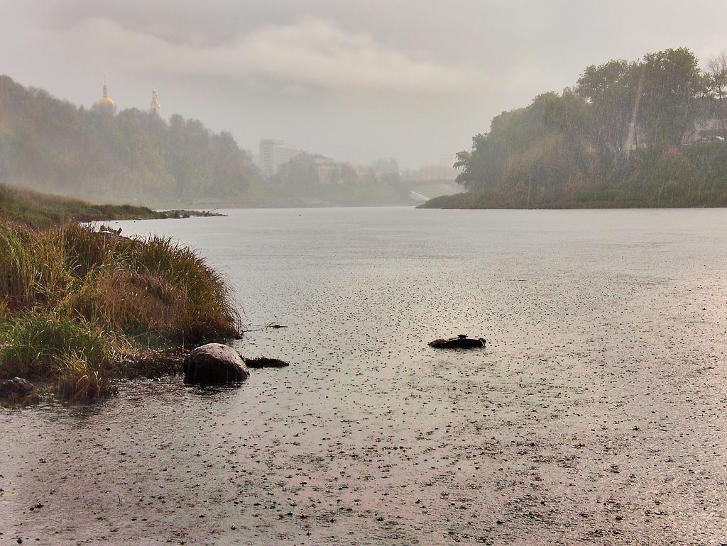 Autumn regen an der Düna