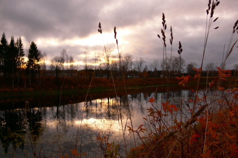 Licht von Tag zu Tag