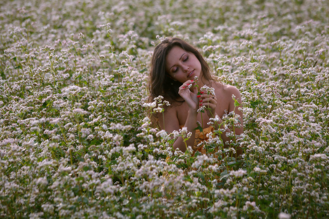 In Erinnerung an die Sommer-