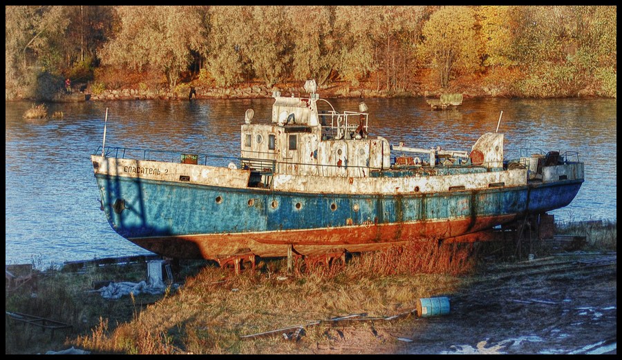 Lifeguard über die Renten