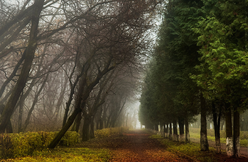 Und in den alten Park im Herbst herrscht ...