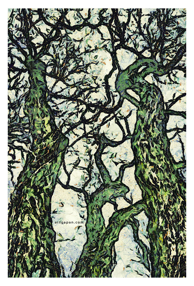 [Trees Mai Institute Head]