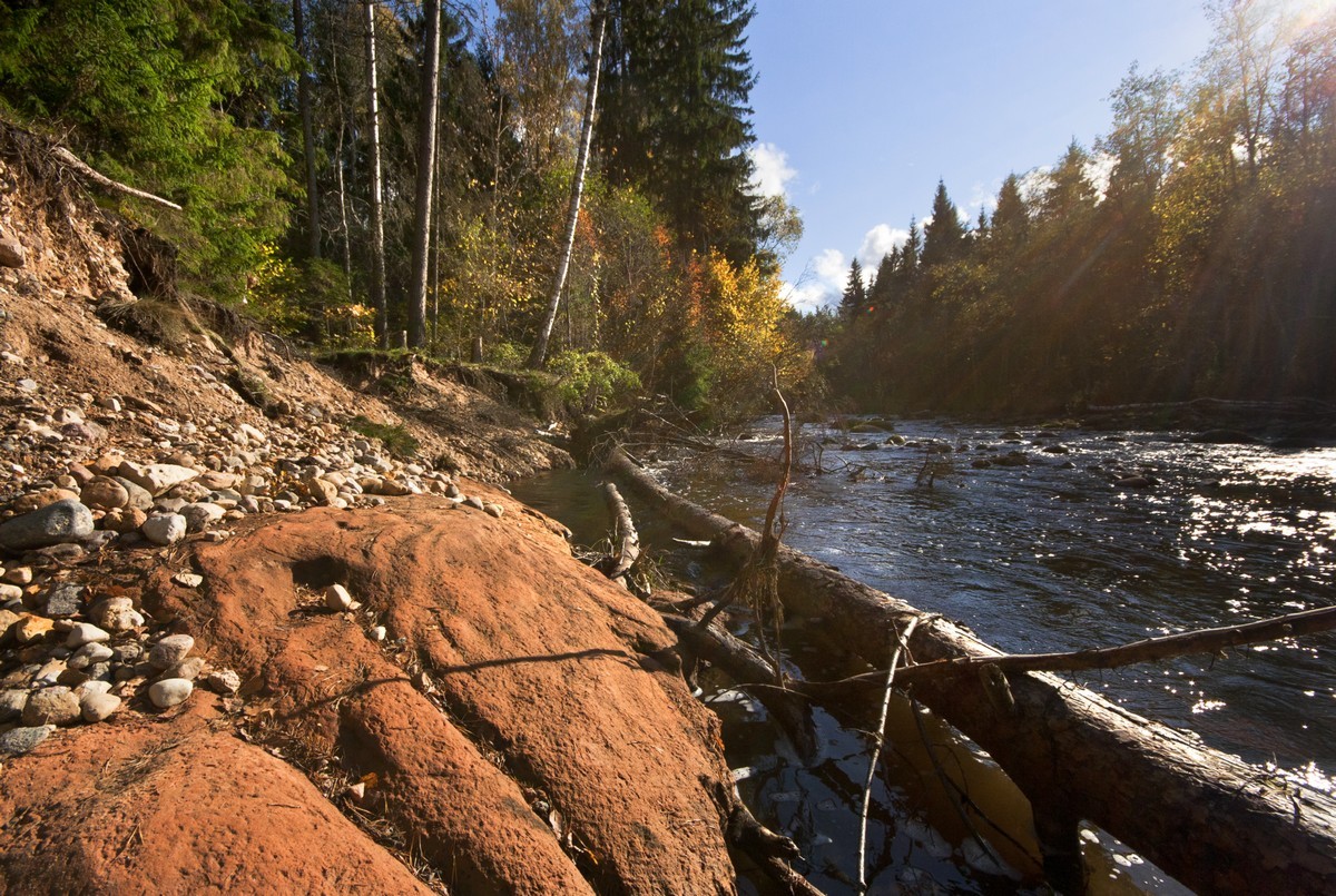 eine wilde, rebellische ...