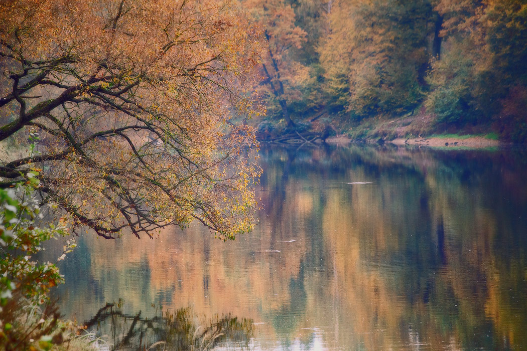 Herbst auf dem Fluss