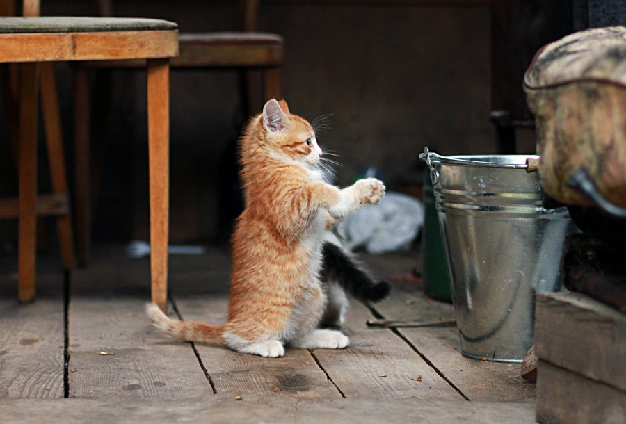 Aber wie kann ich erhöhen??