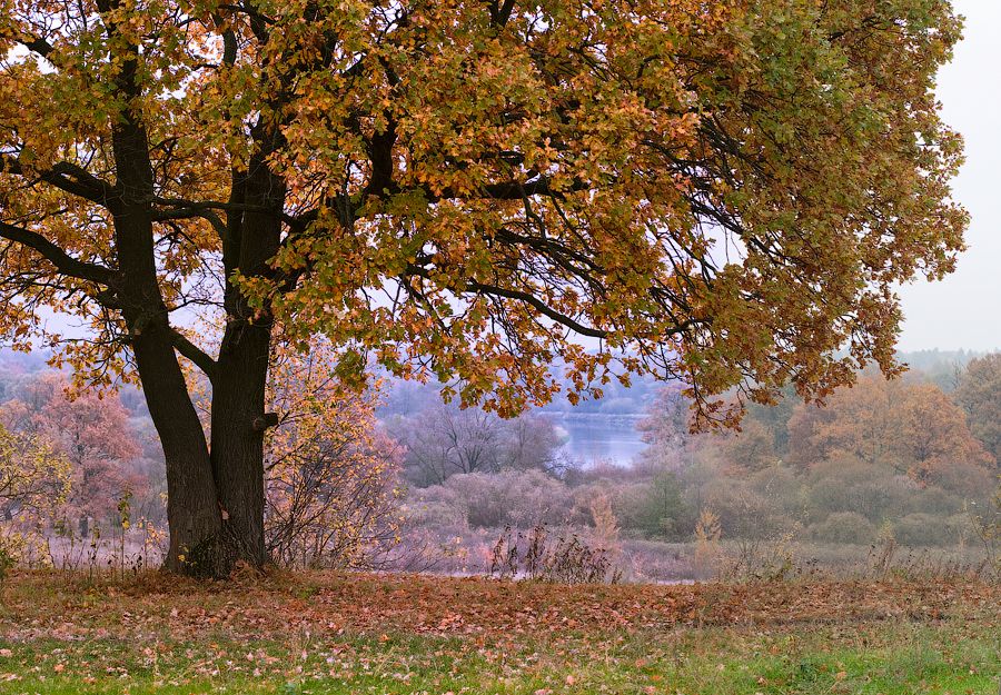 Herbst an der Beresina .............. .............
