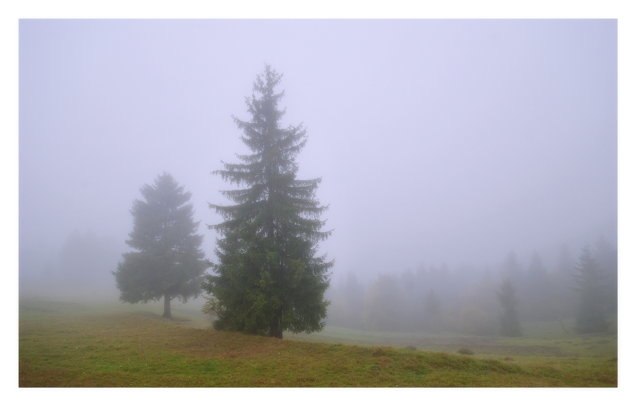 Wenn die Wolken kommen von den Bergen herunter
