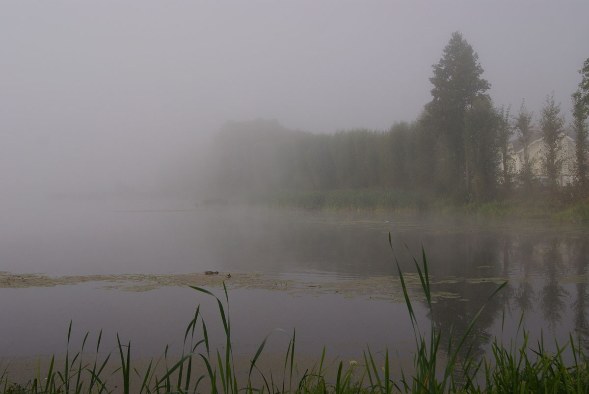 Am Ufer des Flusses ist sehr ruhig