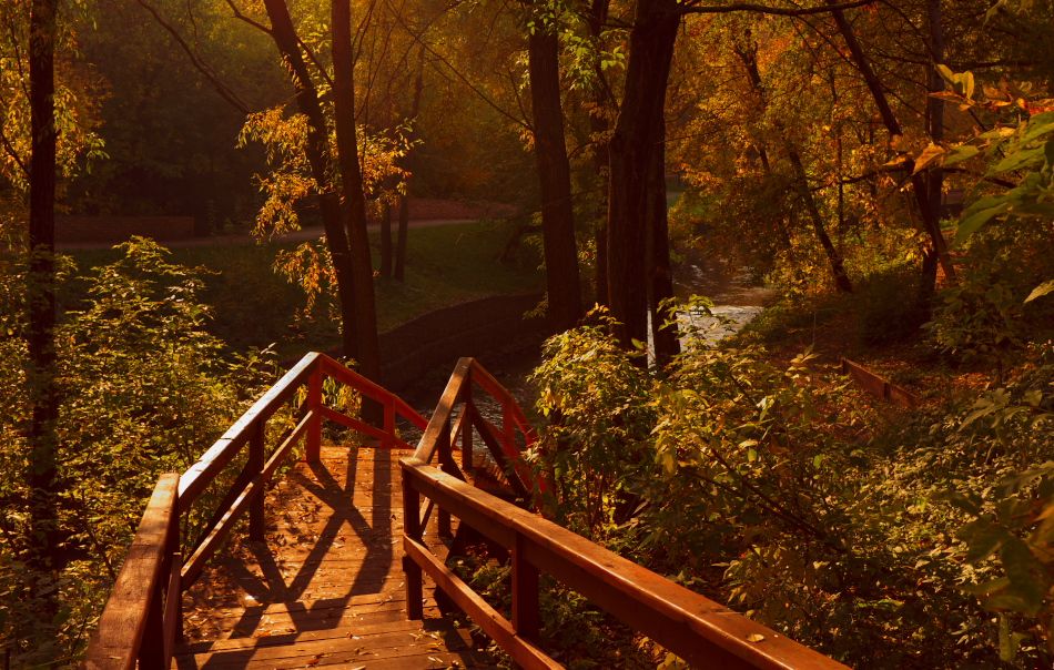 Gehen in die Stille des Herbstes ...