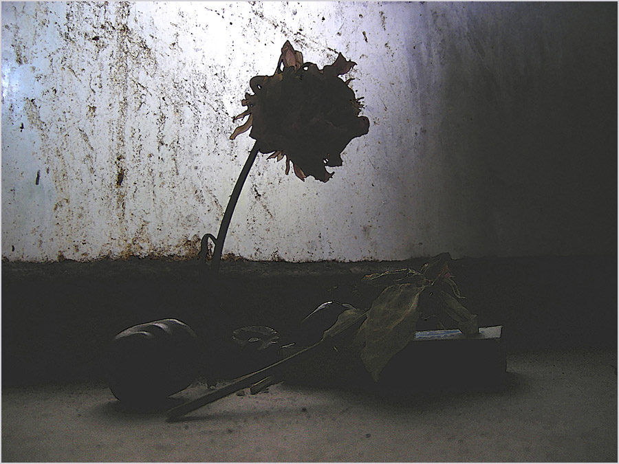 Die Niederlage der Herbst