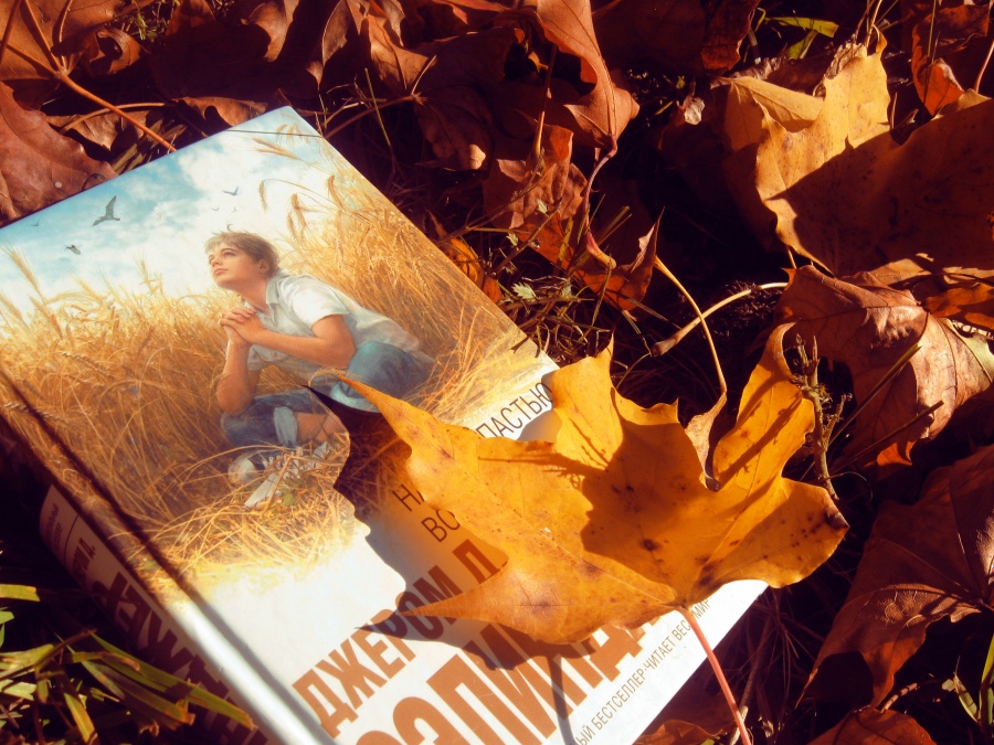 The catcher in the leaves