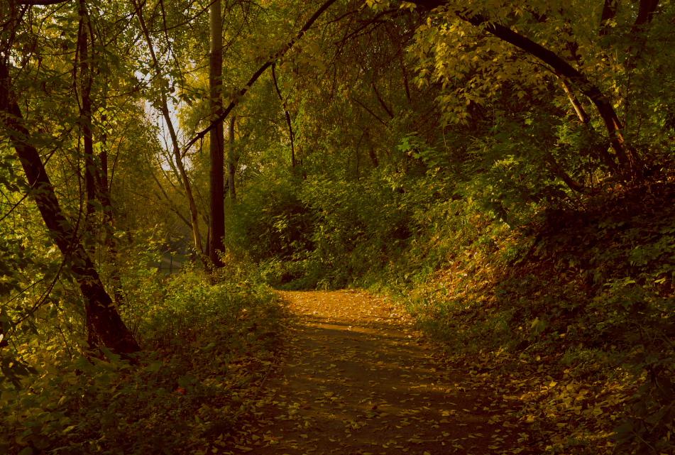 Wenn du alleine bist ...