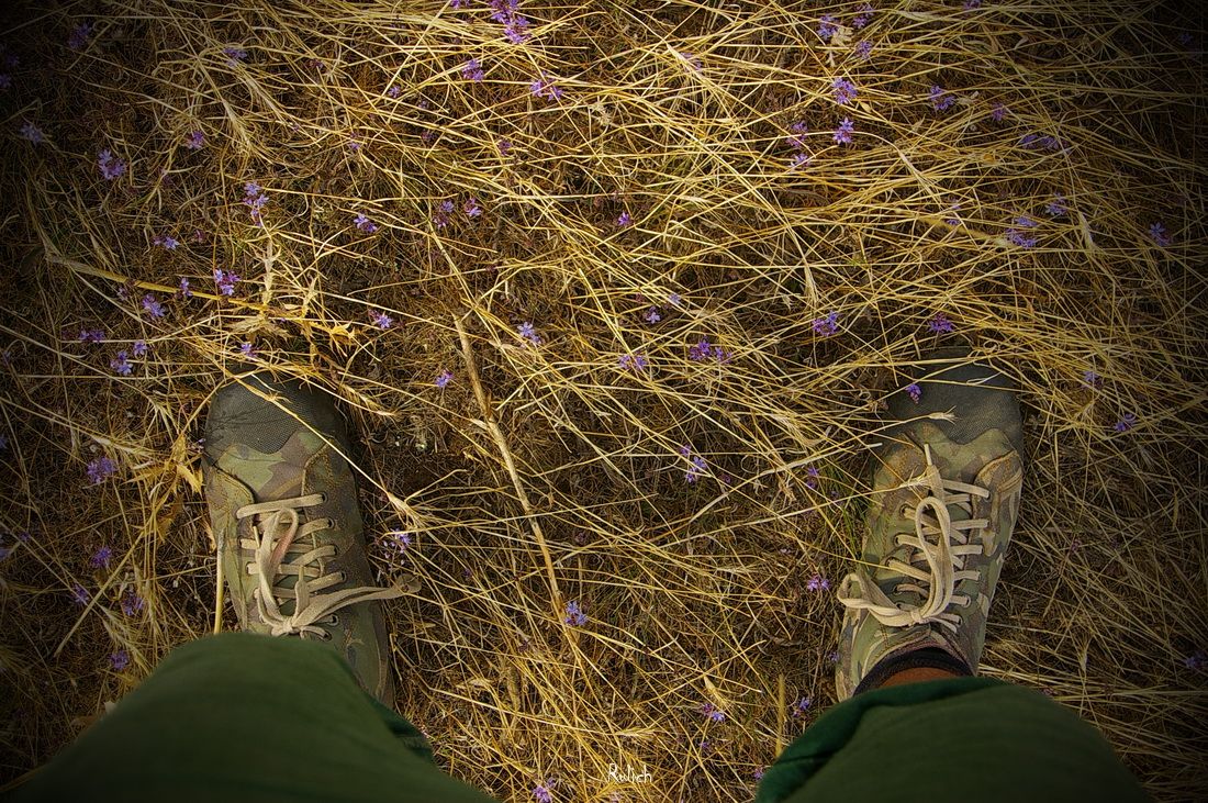 auf dem Weg an die Spitze