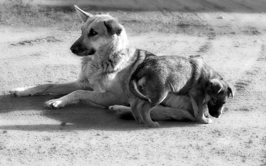 Unter dem mütterlichen Schutz.