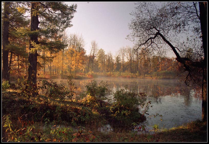 Herbst auf Vittolovskom Teich.