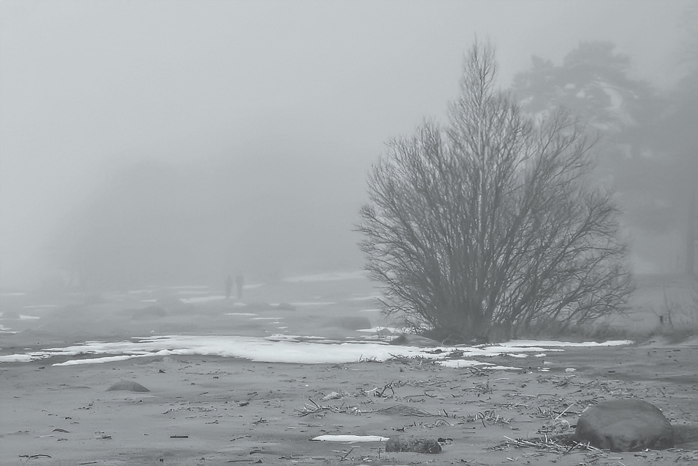 Gehen Sie in den Nebel