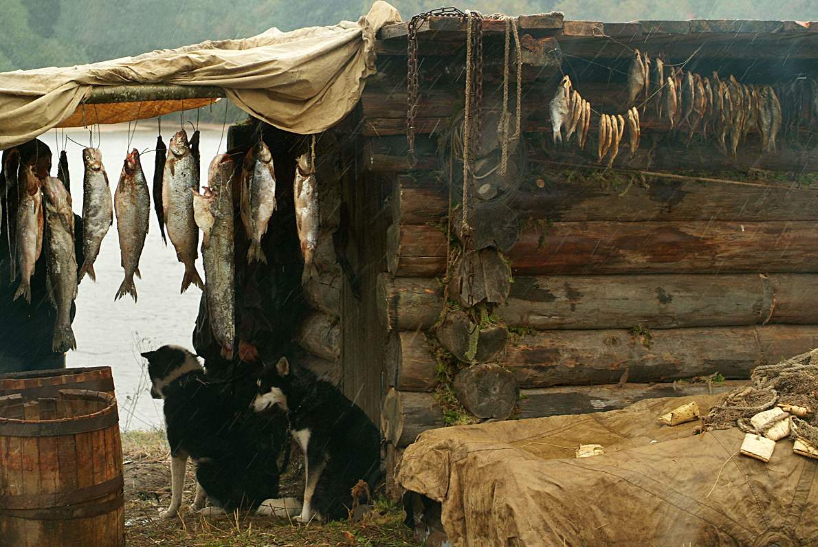 Regen und kein Fischen Sie ...