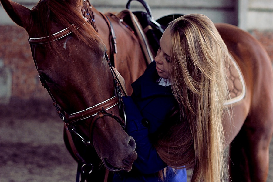 The horse has given to the person wings...