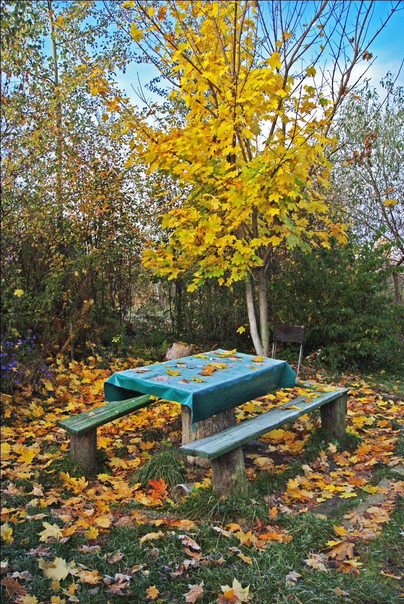 Heute erstreckt sich das "Clearing" Autumn!