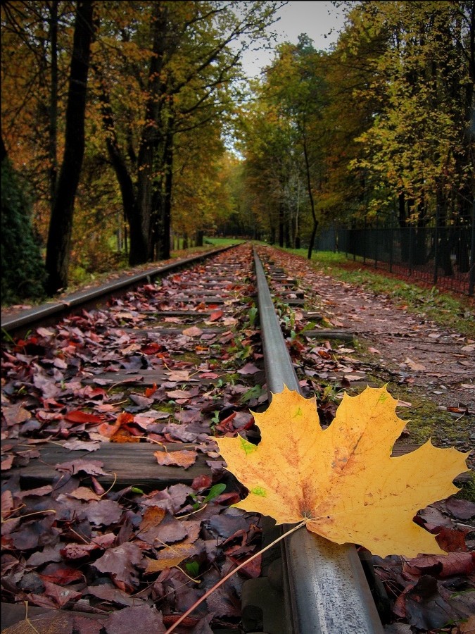 Ein bisschen verspätet ...