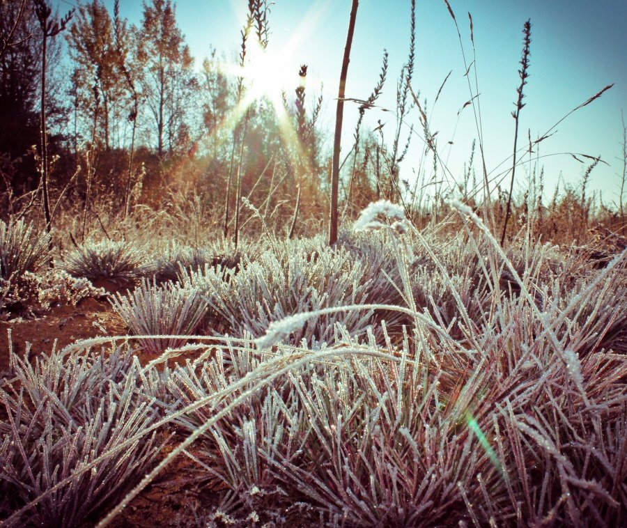 Der Beginn des Winters!