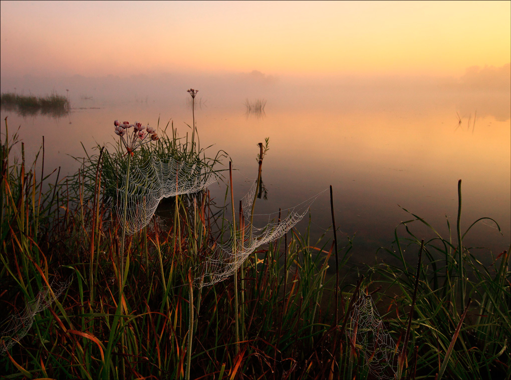 pautinnovy Morgengrauen