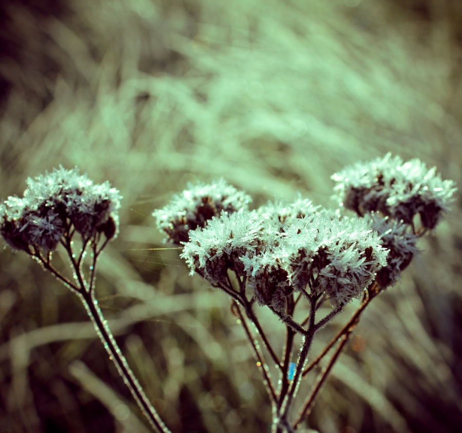 Reibungslos über die Bühne)