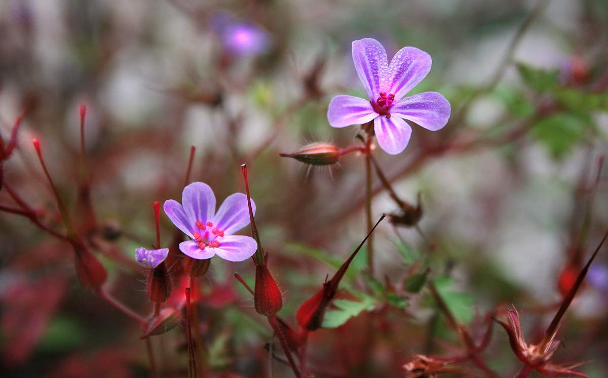 präsentieren im Oktober