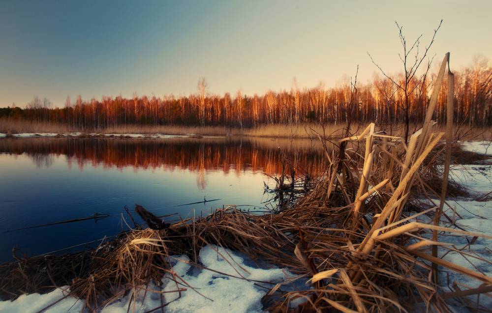 ... Über die Idee des ewigen ...