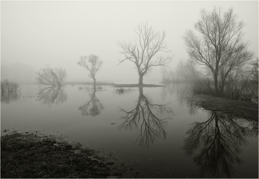 Reflections of the spill