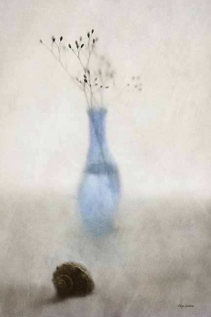 über unerfüllte Träume ...