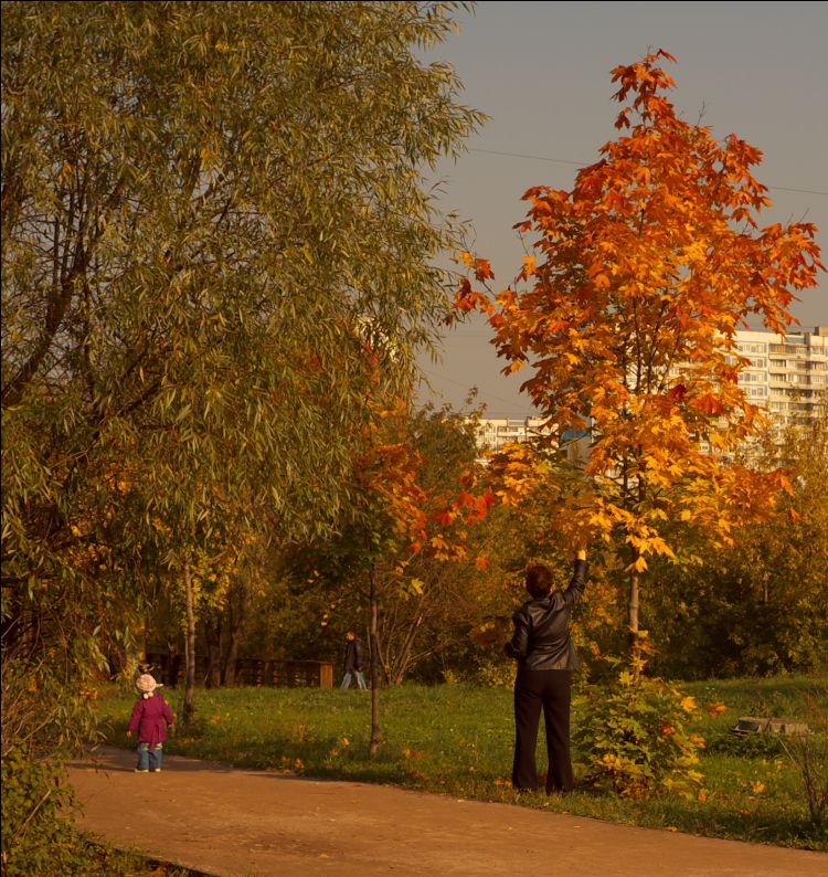 herzbewegend the Autumn