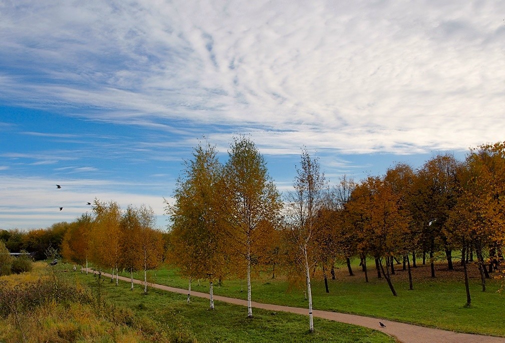 Oktober ... Der Morgen