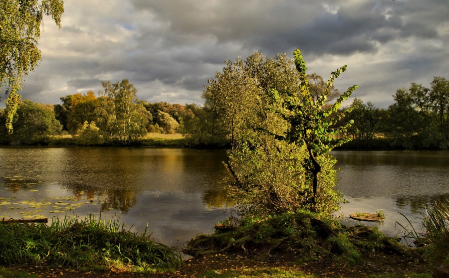 Im Herbst, in Gefangenschaft ....
