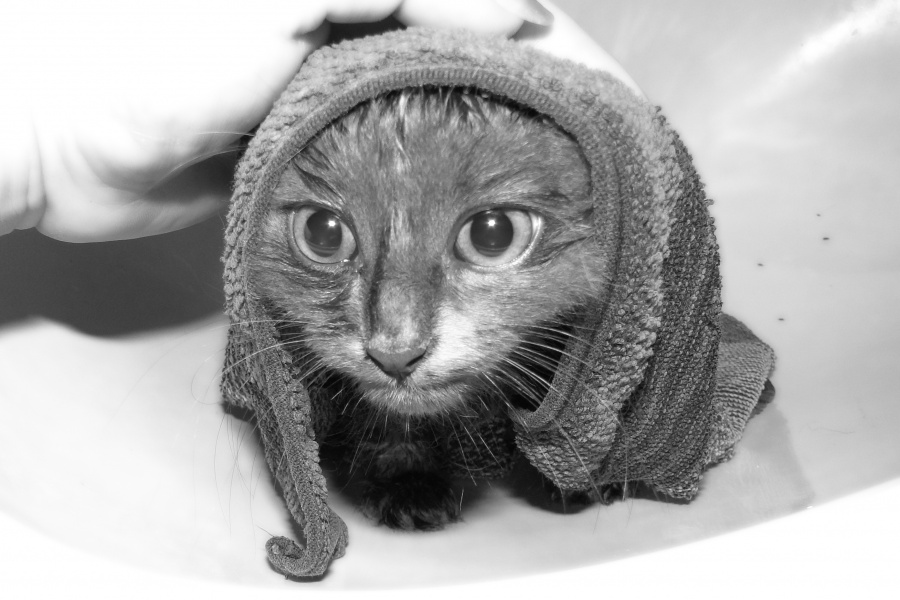 Vom Tellerwäscher zum Millionär