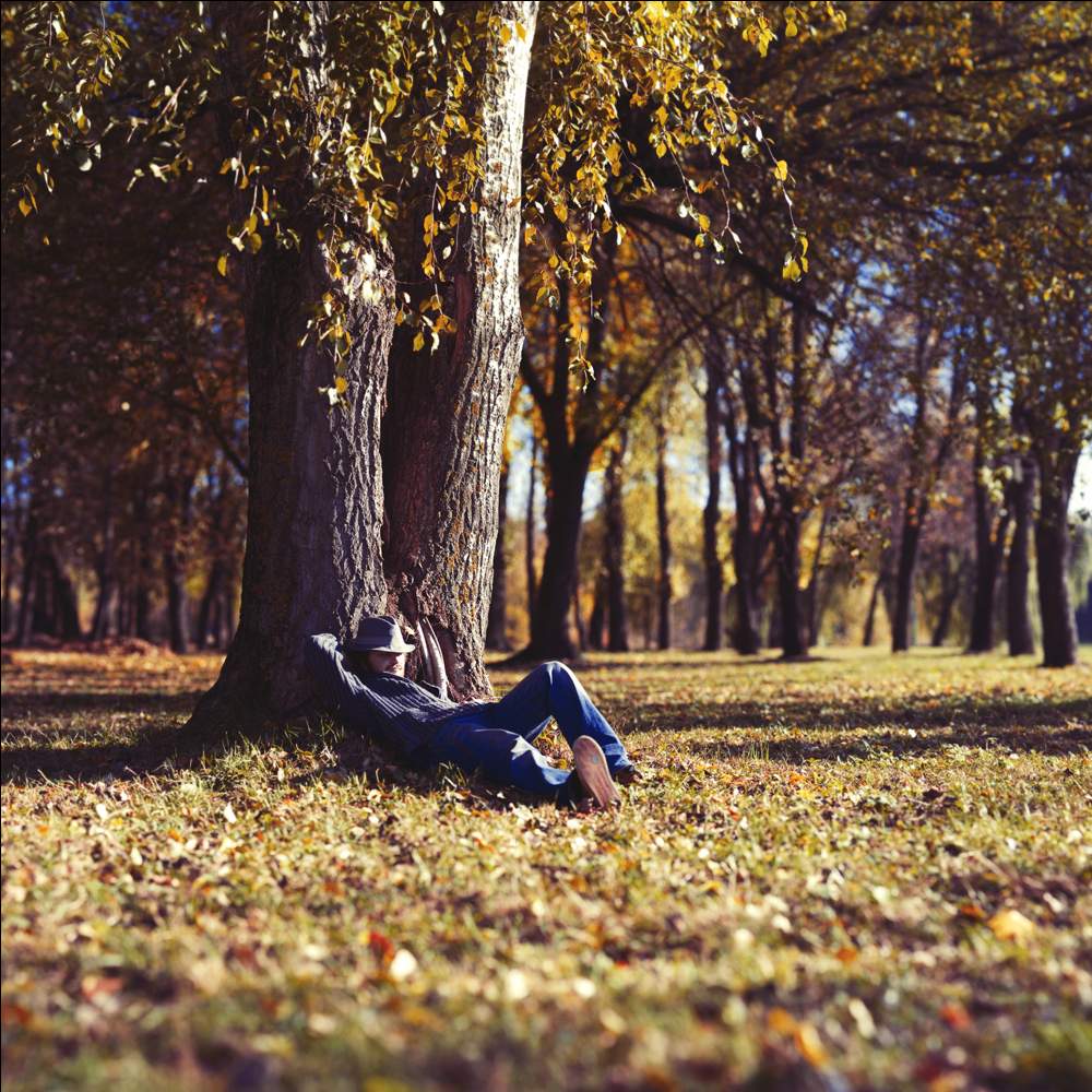 Portrait of a Nummer 3