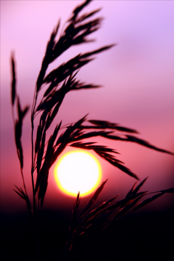 Vor Einbruch der Nacht