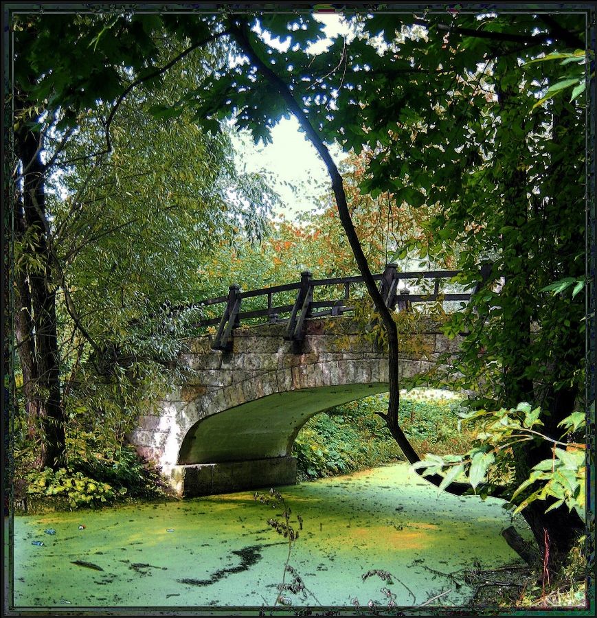 erste Schritte in den Herbst