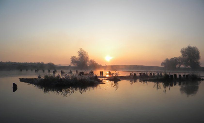 Chilly nebligen Morgen