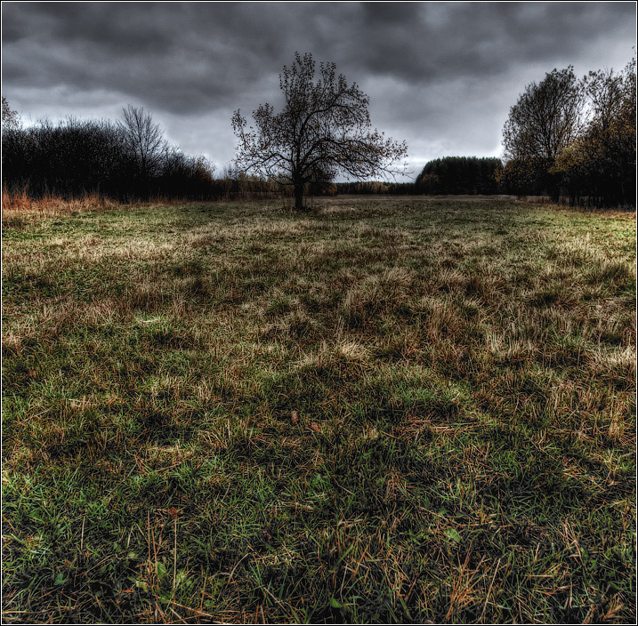 überwuchert in den Park ...