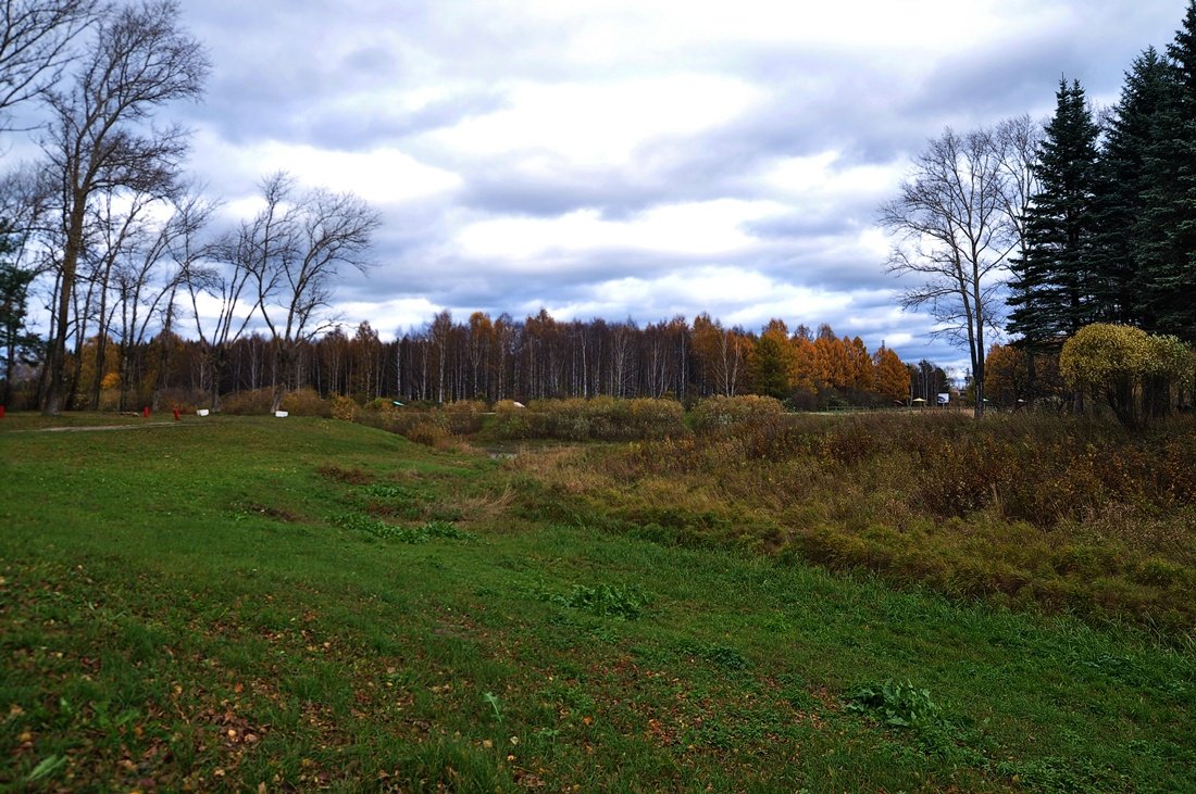 Aus unserer Herbstlaub