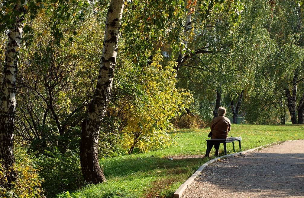 Unter den Birken ...