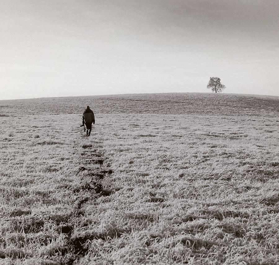 auf der Suche nach einem minimalistischen zwei