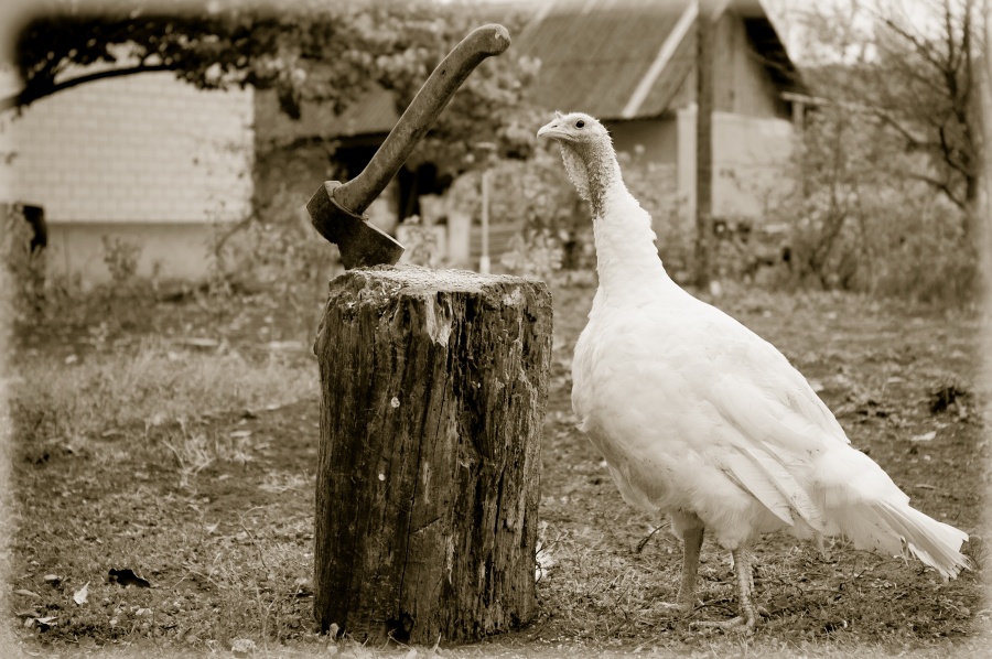 Boss, was ist das Ding?