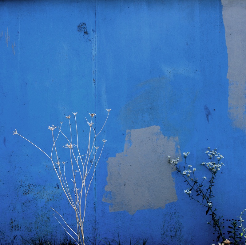 Die Farben des Himmels