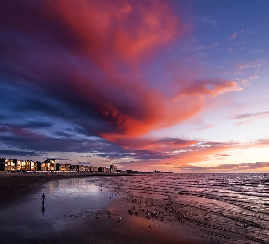 Sie blieb vor Überraschung, als er einen Vogel am Himmel leuchten sah ...