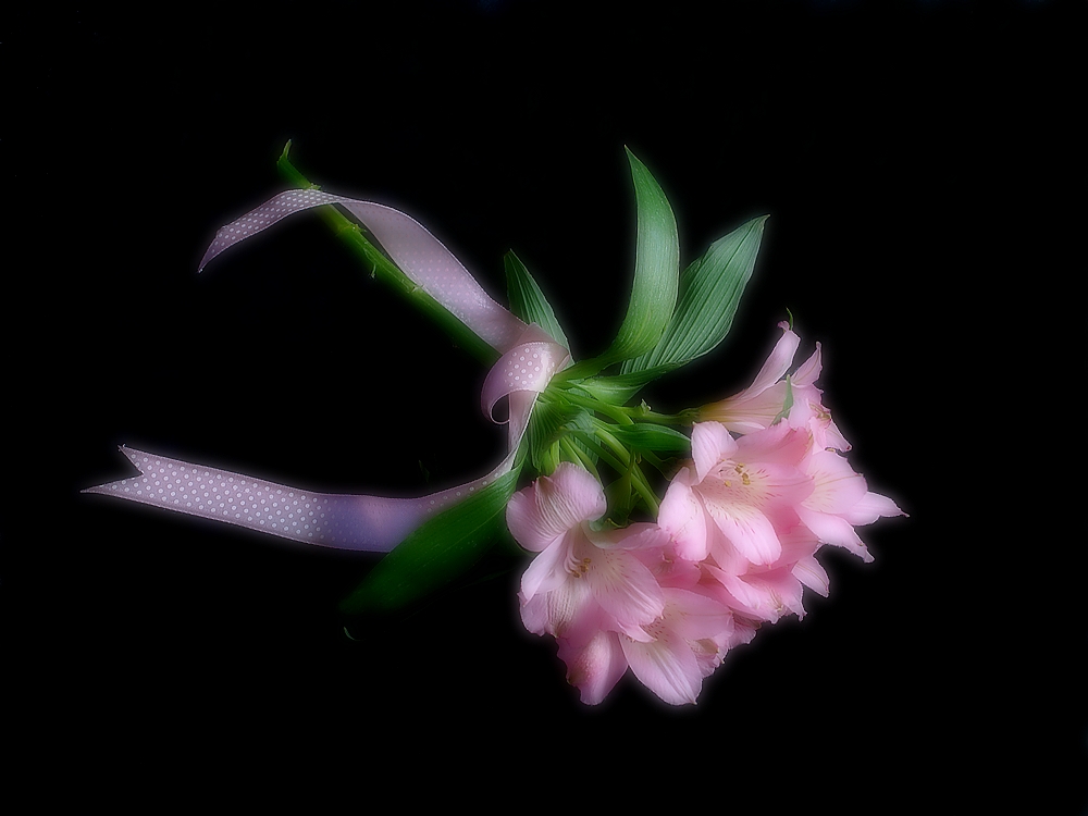 Und kann man von einem Blumen-Traum, ein Vogel fliegen ...