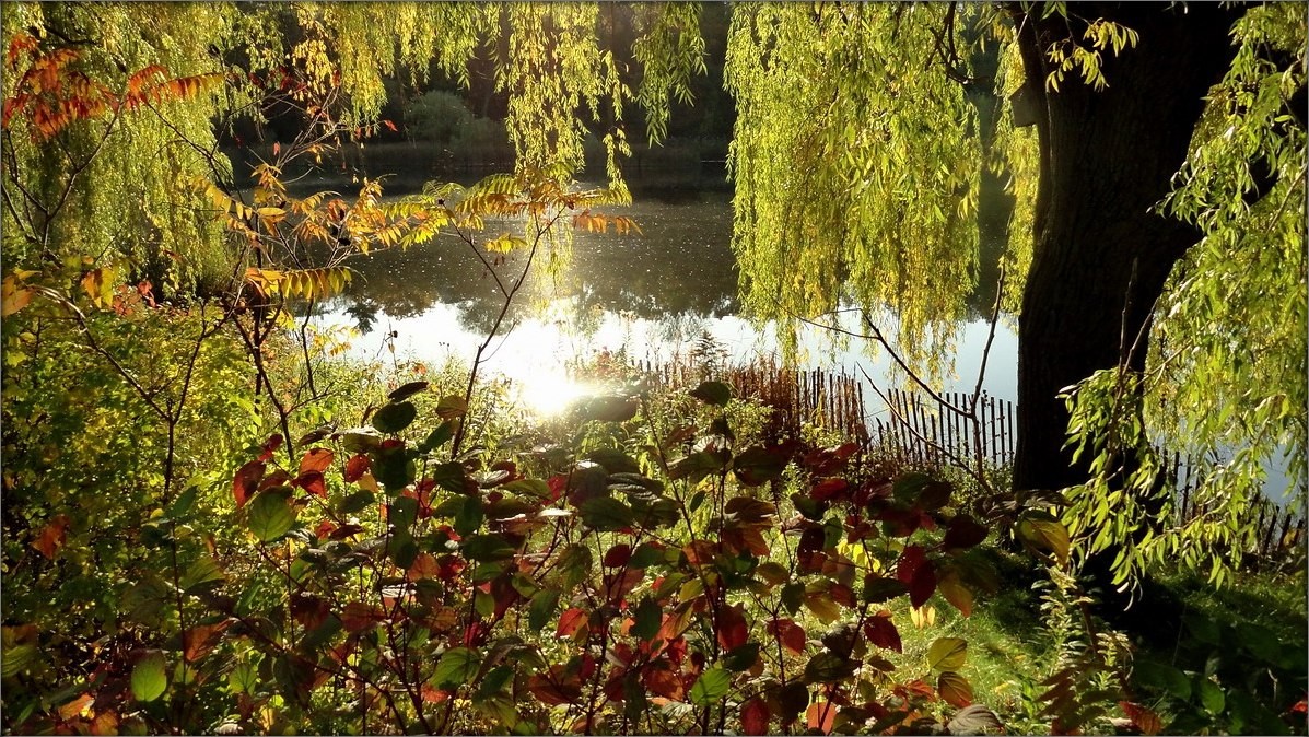 Autumn .. klaren Morgen ..